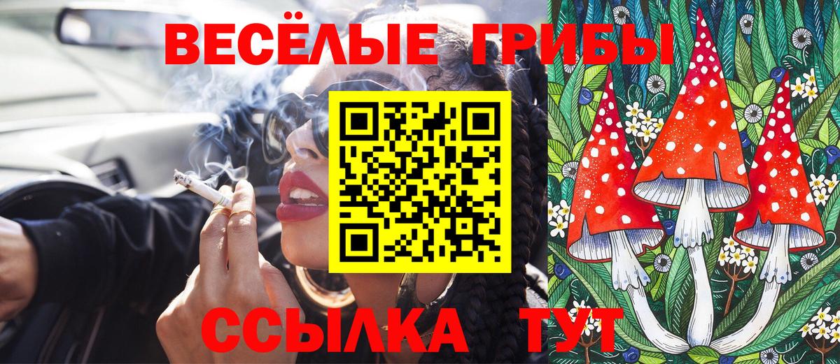 Галлюциногенные грибы Cubensis  Вход с VPN  Галлюциногенные грибы мицелий  Набережные Челны 